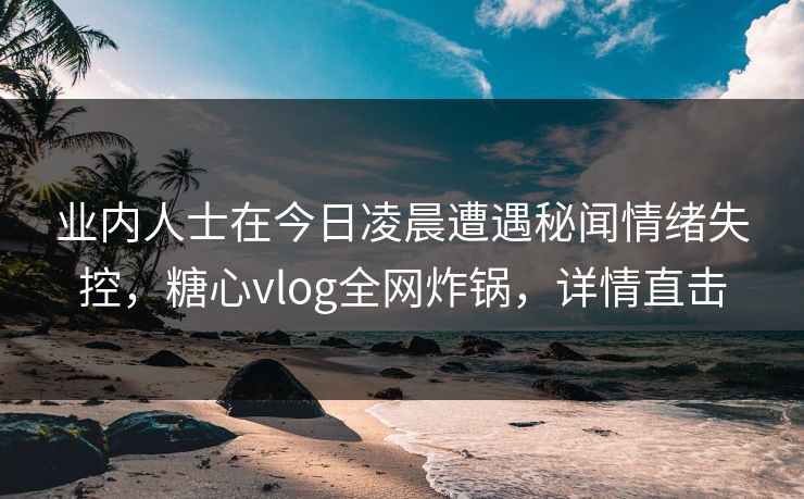 业内人士在今日凌晨遭遇秘闻情绪失控,糖心vlog全网炸锅,详情直击