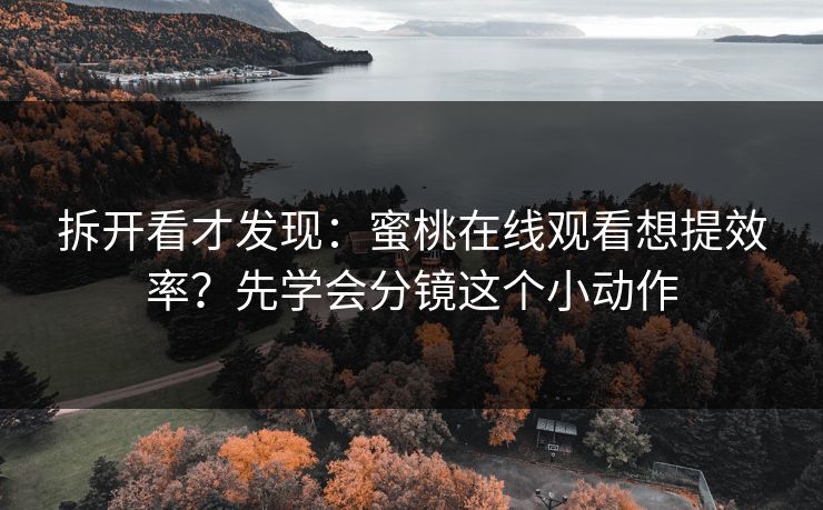 拆开看才发现：蜜桃在线观看想提效率？先学会分镜这个小动作